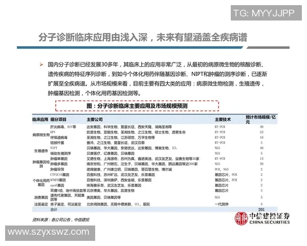 深圳与成都篮球队赛后复盘分析意识碰撞与战术执行的深度探讨
